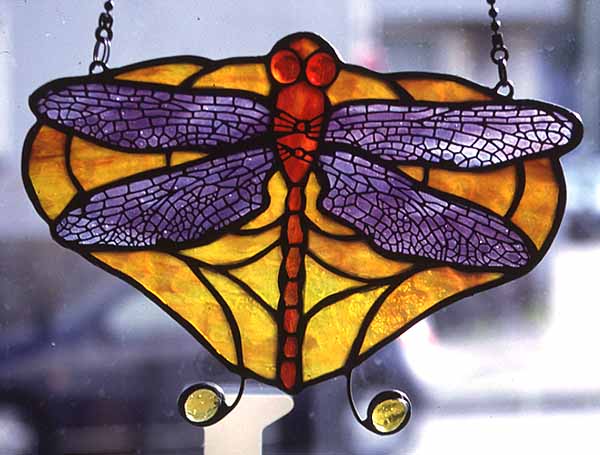 DRAGONFLY_PANEL_2